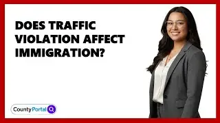 Does Traffic Violation Affect Immigration?