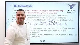 Lesson 3 integrated science second term Mr Mohamed elnaggar