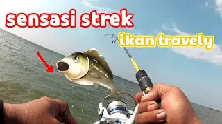 mancing ngoncer_pantai Marina semarang#mancing mania semarang Rucahan