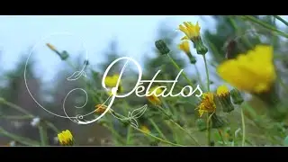 BERTED - P&Eacute;TALOS (VIDEOCLIP)