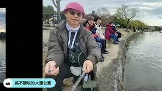 2026年1月8日