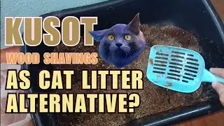 KUSOT as cat litter sand alternative