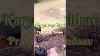 🍀Learning with Nature 🍁 | Government Primary School.#shorts #education #nature #activity
