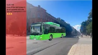 *RETIRED* MAN Lion's City A21 NL313 CNG, GUB 129, in uppsala. on line 13 Jordgubbsgatan - Uppsala C