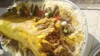 ١٤ يناير ٢٠٢٦