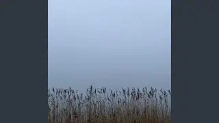 Silent Storms