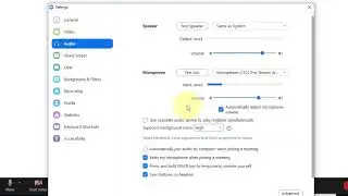 Zoom   testing sound input and out put
