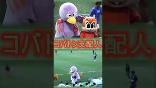 【大宮アルディージャ アーカイブ】コバトンとアルディ連携 | [Omiya Ardija Archive] Kobaton and Ardi team up