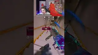 The 