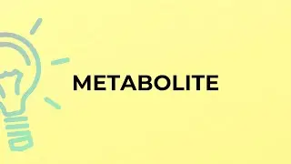 What is the meaning of the word METABOLITE?