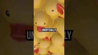 Why Table Size Changes the Game