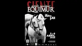 XXIX Concurso Morfológico PRE - Equimur 2025, Categoría 3* Clasificatorio para SICAB - ANCCE