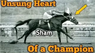 Sham vs Secretariat: The Rivalry That Broke Hearts #horse #horseracing #equestrian