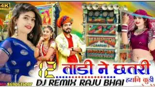 फर फर छतरी गुमे भाया हांडियों ऐ करे //Far Far Chatri Ghume !! Ramu Damor !! New timli song dj remix