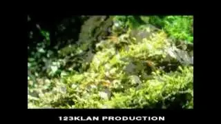 123klan production(Tutushcin Vladislav)-