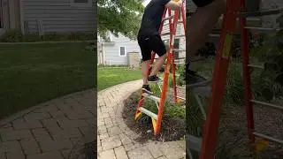 Cleaning your gutters soon? Don&rsquo;t forget your spotter! #shorts