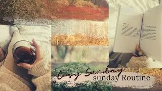 cosy Sunday morning Routine | cosy Sunday woodland walk | Relax with me