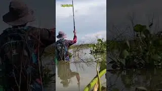 Pamimingwit (angling) highlights 