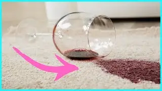 Do THIS to Remove Carpet Stains FAST | Erase Carpet Stains | Clean Carpet Stains FAST | DIY Cleaner
