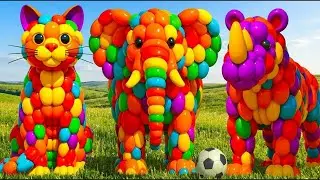 The mascot vibrato assistant dog placed on the football field is popular co produced, creative