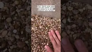 Applying Super Max Mulch Glue to Pebbles! #shorts
