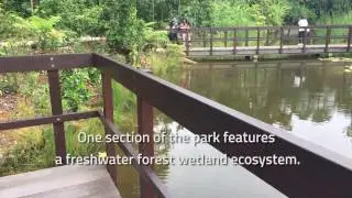 Botanic Gardens' Learning Forest