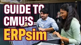 What is ERPsim?