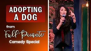 CBD for your pets&hellip; Does it really work? 😂🐾