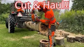 Birch Tree Part 2: Grapple Work + Log Cutting