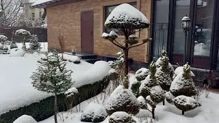 ПОТЕПЛЕНИЕ! СЕГОДНЯ (+1’), НО ЧТО ДАЛЬШЕ? СНЕЖНАЯ КРАСОТА ИЛИ ОПАСНОСТЬ?