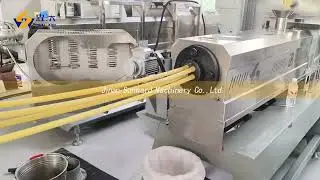 Fried bugle machine twin screw extruder fried snack pellet production line