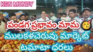 14/01/25 Mulakalacheruvu Tomato Market price Today || Today Tomato Market rate in Mulakalacheruvu