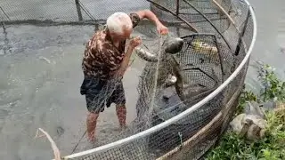 VOU FAZER UMA DISTRIBUIDORA DE TILAPIAS E AUMENTAR MINHAS VENDAS