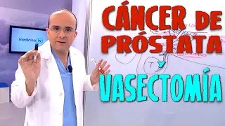 CÁNCER DE PRÓSTATA y VASECTOMÍA ¿Alguna relación? ¿Aumenta el Riesgo? - Cáncer #21