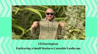 Eli Harrington: Embracing a Small-Business Cannabis Landscape