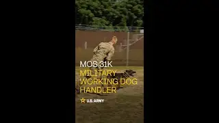 BEWARE of Dog! | U.S. Army