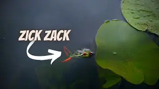 Zeit ist Fisch ~ the one man show