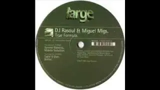 DJ Rasoul & Miguel Migs  -  Driftin'