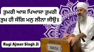 Ragi Ajmer Singh Nanaksar UK is live