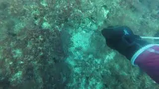 126th video -  Me vs scubadiver yet again