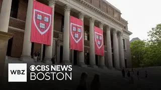 Harvard groups to protest proposed settlement between school and Trump administration