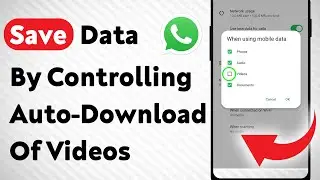How to Save Mobile Data by Controlling Auto-Download Of Videos On WhatsApp (Updated)