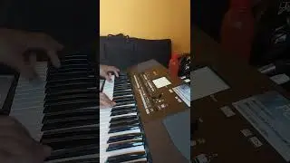 SET HADROH KORG PA300/PA600