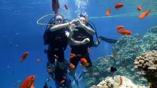 Egipt, Sharm El Sheikh, nurkowanie, Sunny Village, dzień 5 i 6 VLOG #54
