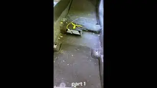 Car Dry Cleaning