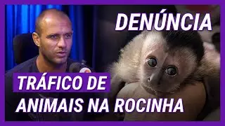 RESGATE, ANIMAIS EX&Oacute;TICOS, TR&Aacute;FICO E CRUELDADE: GUGA UNGERER EXP&Otilde;E A VERDADE | Copacabana Talks #29