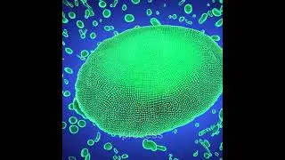 The Hidden World of Microbial Geoengineers