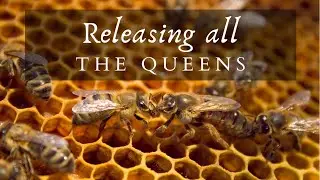 These Queens are ready to GET OUT!!!!