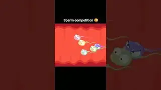 sperm competition##🤟🤟