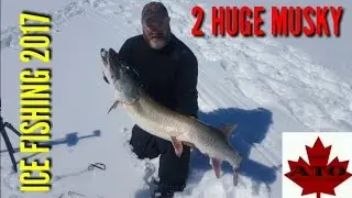 2 huge 52